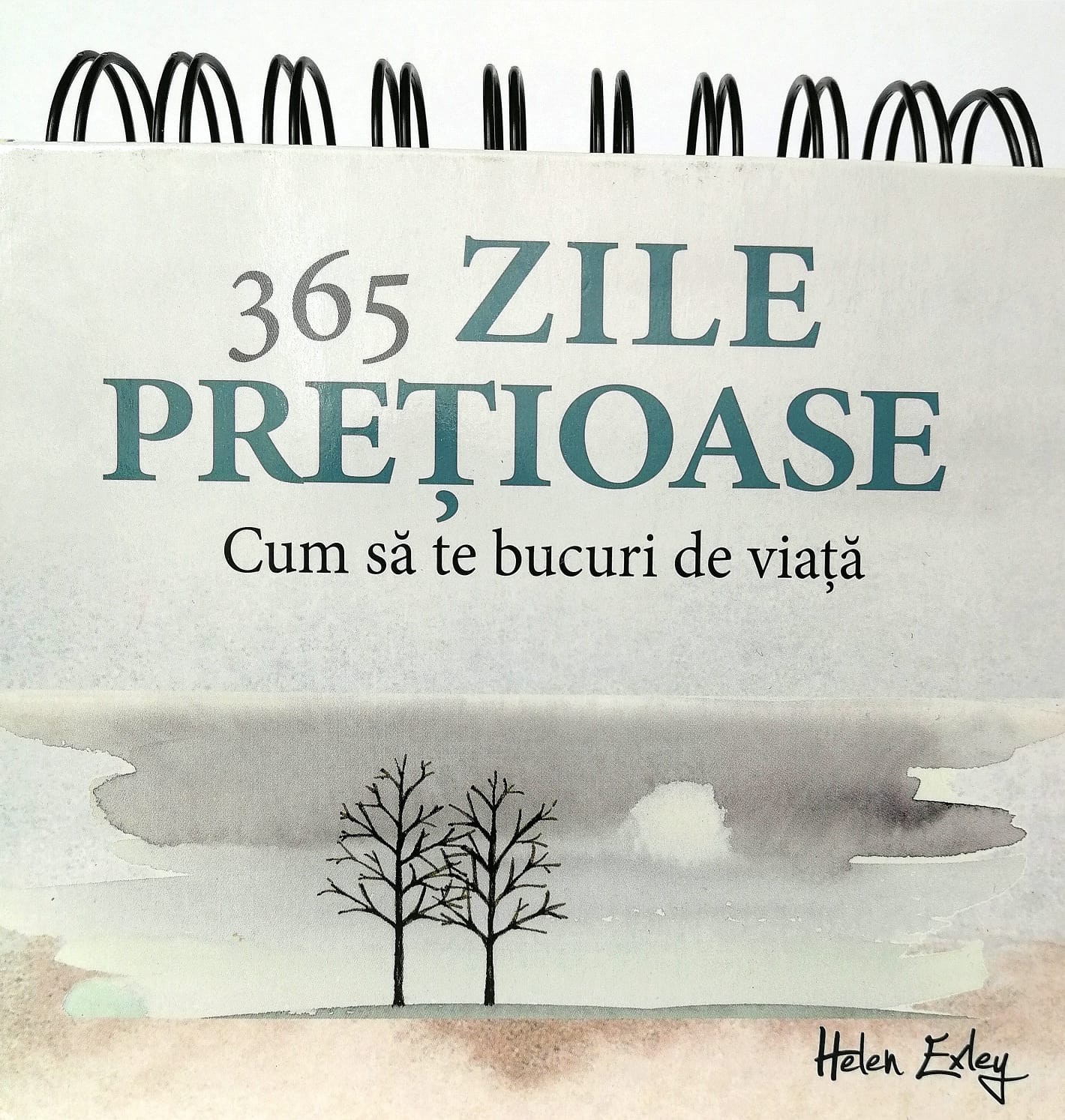 Carte 365 zile pretioase   editura Helen Exley