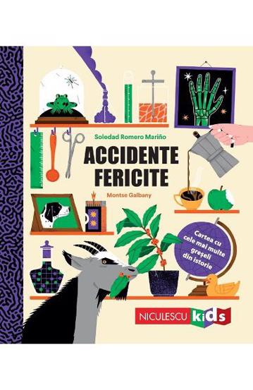 Carte Accidente fericite editura Niculescu