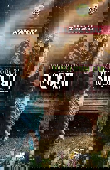 Carte Acolo unde cad norii editura Fundatia culturala Ideea Europeana