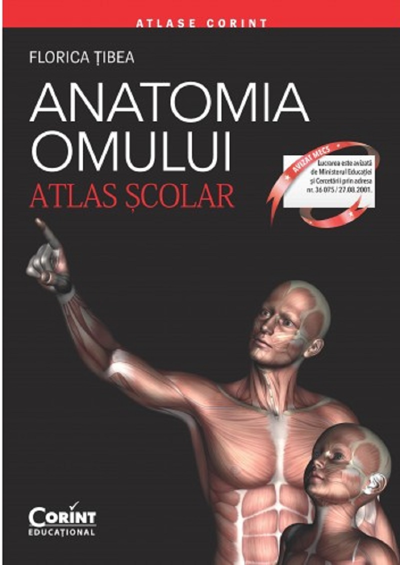 Carte Anatomia omului - Atlas scolar autor Florina Tibea editura Corint