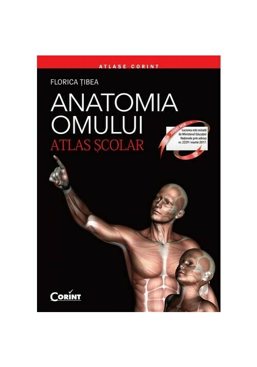 Carte Anatomia omului. Atlas scolar editura Corint