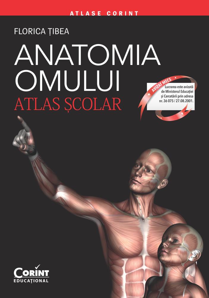 Carte Anatomia omului. Atlas scolar editura Corint