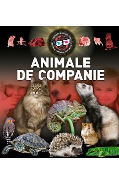 Carte Animale de companie 3D editura -