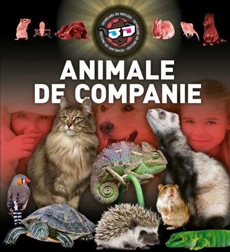 Carte Animale de companie 3D editura Kreativ