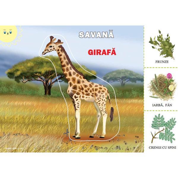 Carte Animale din tinuturile calde si reci (mapa)