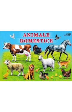 Carte Animale domestice editura -