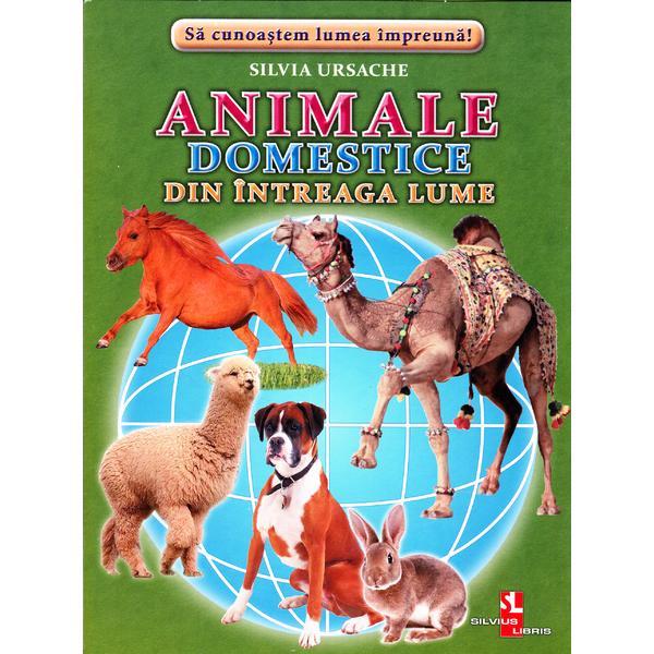 Carte Animale domestice din intreaga lume - Cartonase - Silvia Ursache
