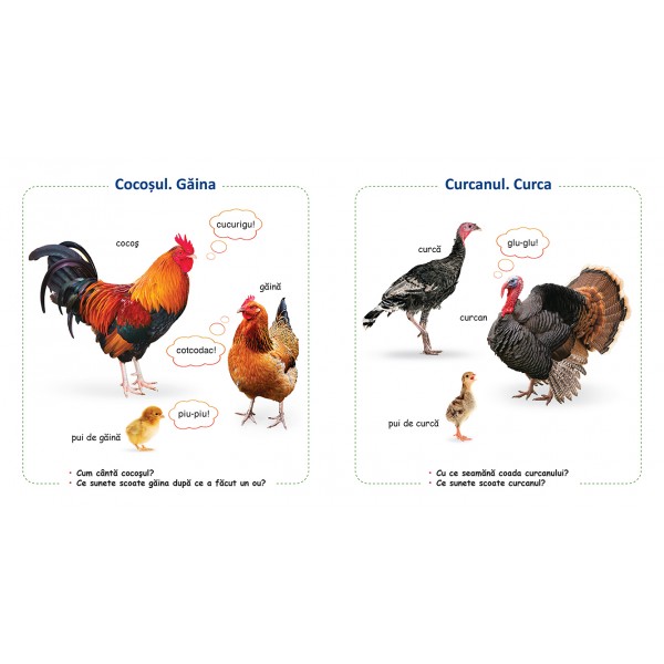 Carte Animale domestice si puii lor   editura Prut
