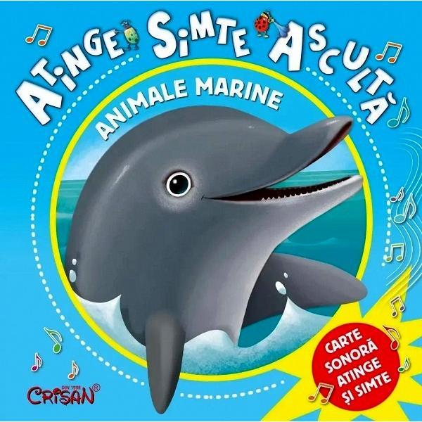 Carte Animale marine (Atinge