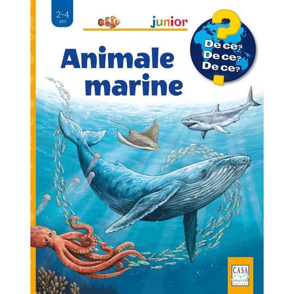 Carte Animale marine - Patricia Mennem