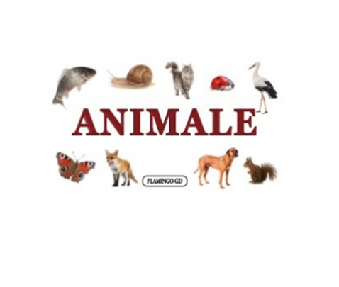 Carte Animale - pliant cartonat   editura Flamingo GD