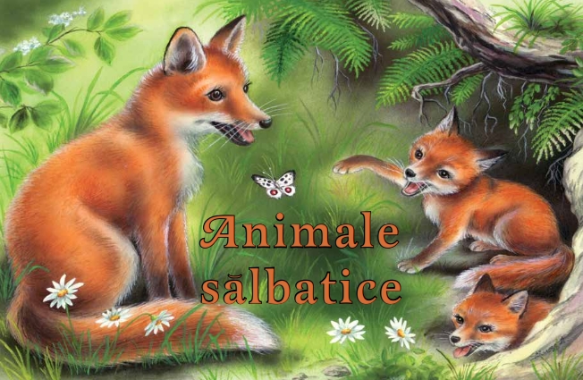 Carte Animale salbatice   editura Aquila