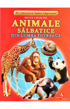 Carte Animale salbatice din intreaga lume - 32 Cartonase - Silvia Ursache editura Silvia Ursache