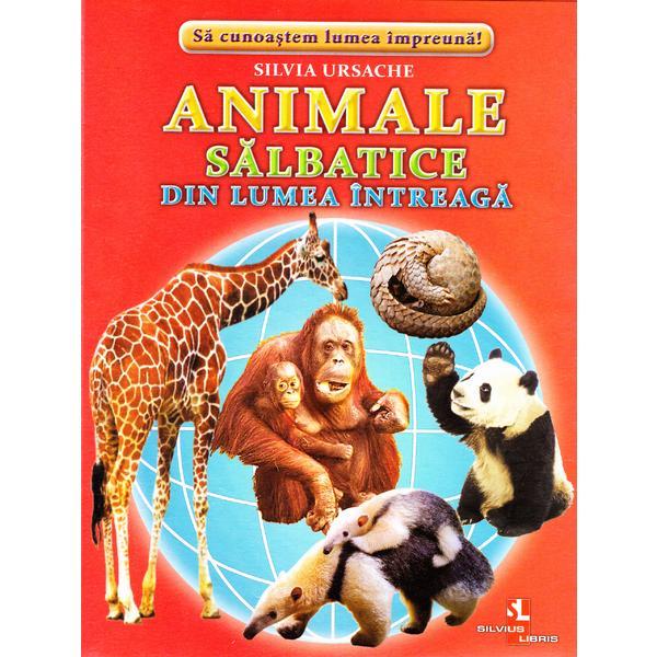 Carte Animale salbatice din intreaga lume - 32 Cartonase - Silvia Ursache