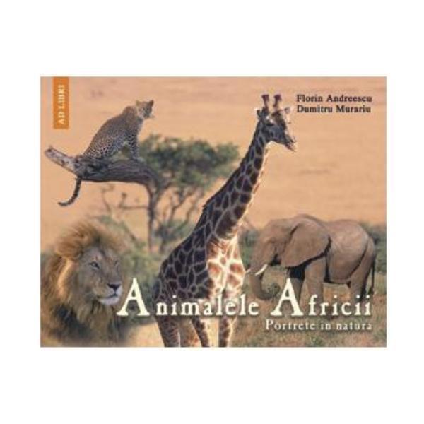 Carte Animalele Africii - Florin Andreescu
