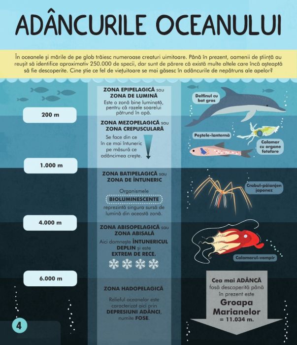 Carte Animalele autor Susan Martineau editura Niculescu