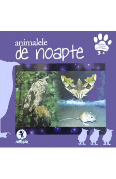Carte Animalele de noapte editura -