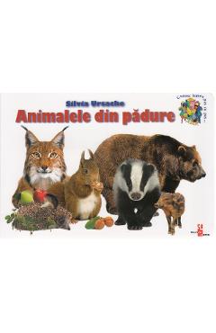 Carte Animalele din padure - Silvia Ursache editura Silvia Ursache