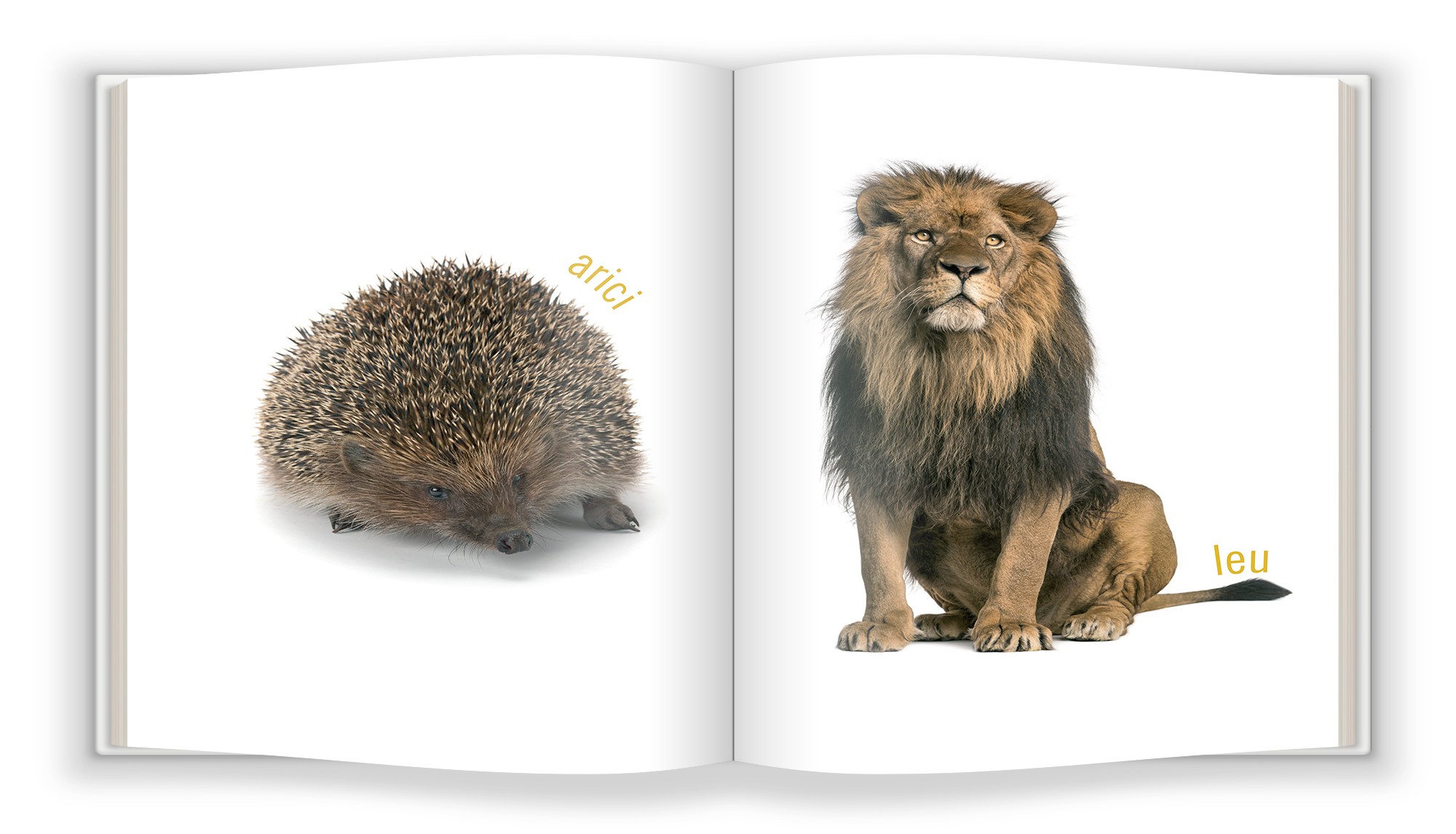 Carte Animalele salbatice   editura Gama