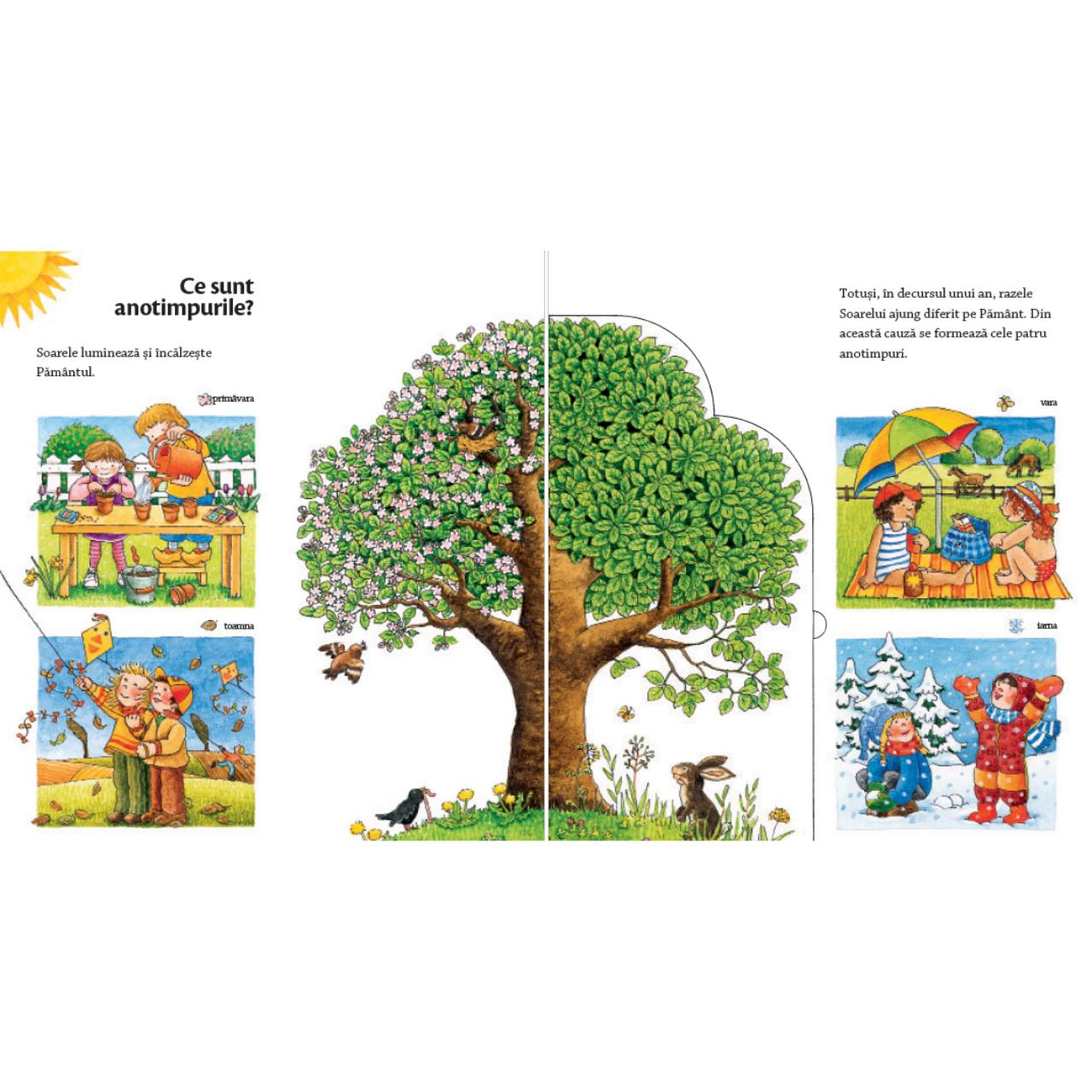 Carte Anotimpurile   editura Casa