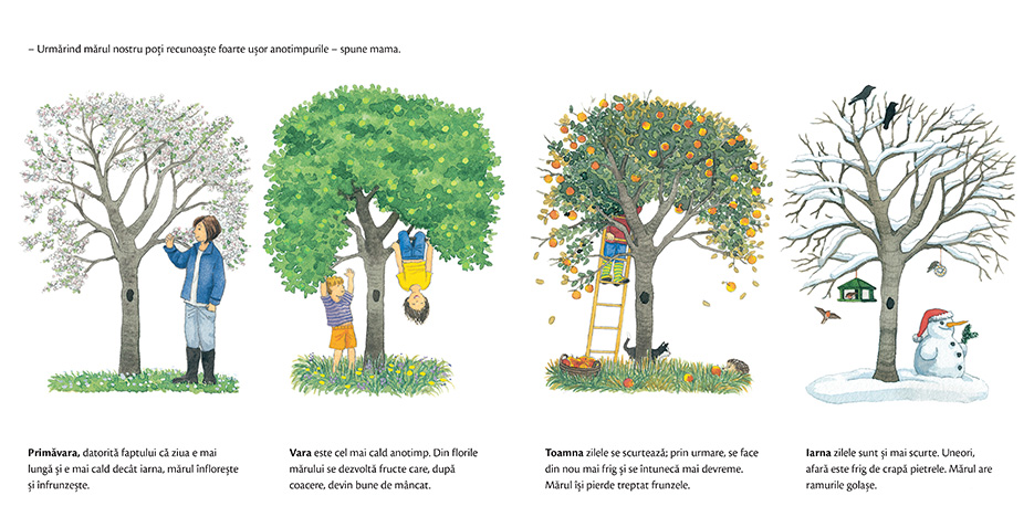 Carte Anotimpurile autor Imke Rudel