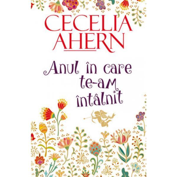 Carte Anul in care te-am intalnit - Cecelia Ahern