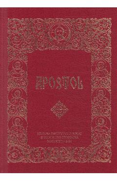 Carte Apostol Ed. 2024 editura -