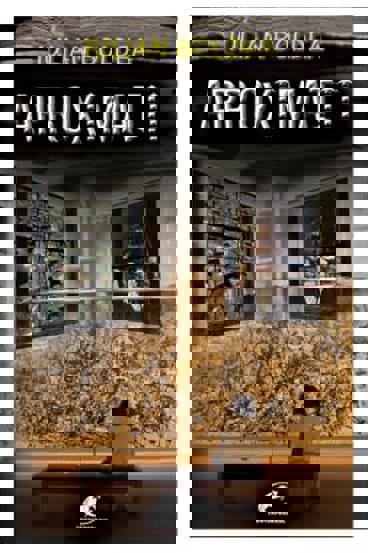 Carte Aproximatii editura Fundatia culturala Ideea Europeana