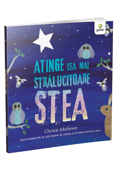 Carte Atinge cea mai stralucitoare stea editura Gama
