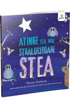 Carte Atinge cea mai stralucitoare stea - Christie Matheson editura Christie Matheson