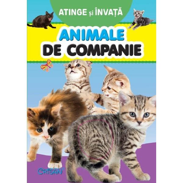 Carte Atinge si invata. Animale de companie - Tony Wolf