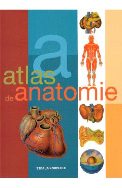 Carte Atlas de anatomie - Dr. Adolfo Cassan editura Adolfo Cassan