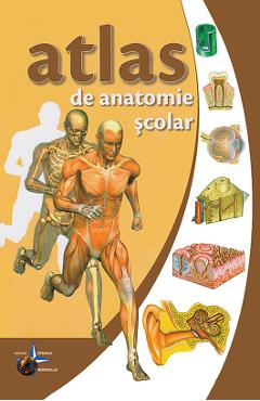 Carte Atlas de anatomie scolar editura Vlad Violeta