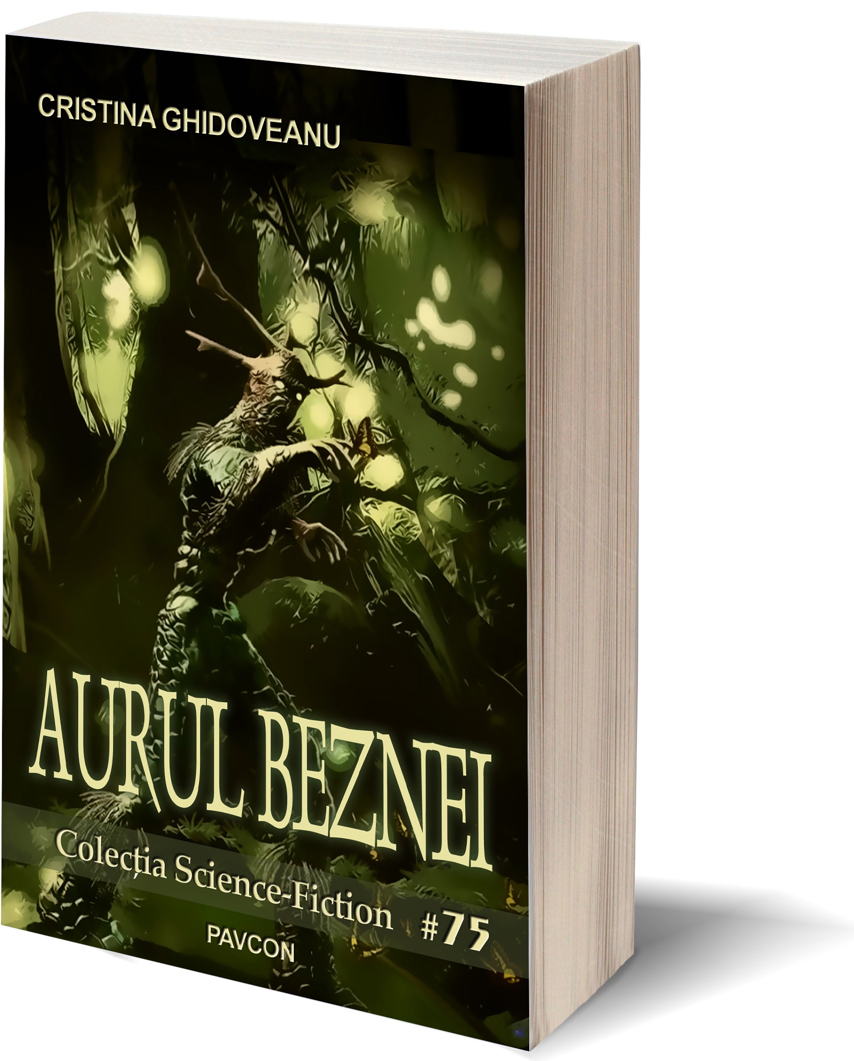 Carte Aurul beznei autor Cristina Ghidoveanu editura Pavcon