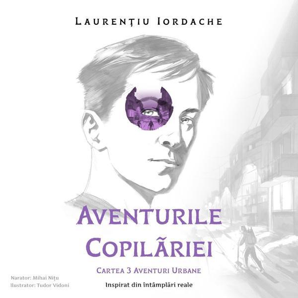 Carte Aventurile Copilariei Cartea 3 Aventuri Urbane