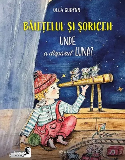 Carte Băiețelul și șoriceii editura Bookzone