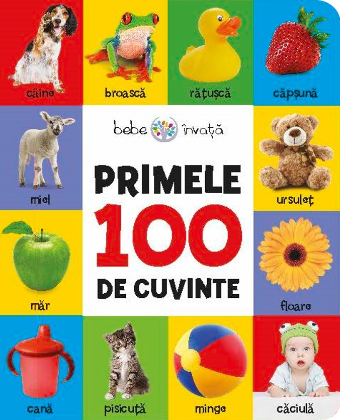 Carte Bebe invata. Primele 100 de cuvinte editura Litera
