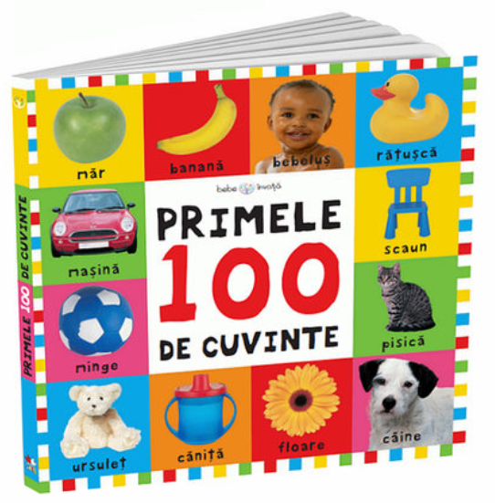 Carte Bebe învață. Primele 100 de cuvinte editura Litera