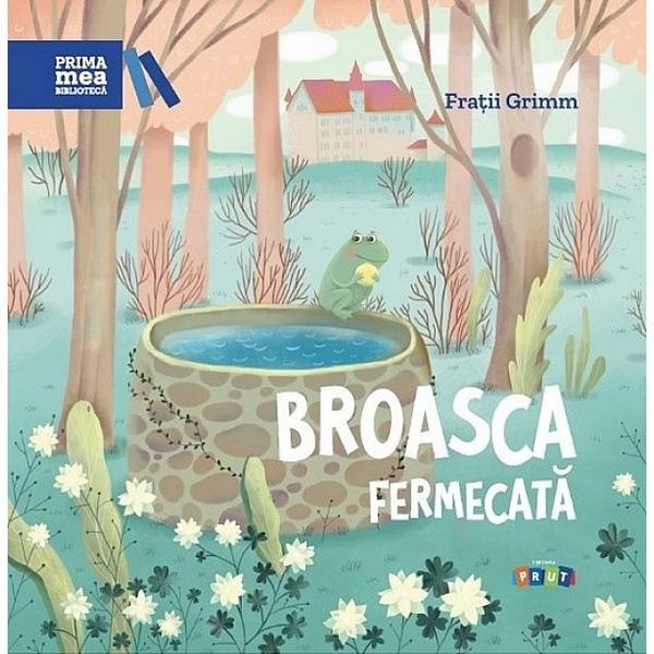 Carte Broasca fermecata - Fratii Grimm