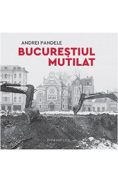Carte Bucurestiul mutilat - Andrei Pandele editura Andrei Pandele