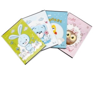 Carte Caiet 24 file tip II