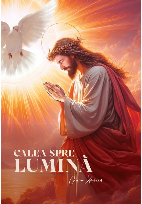 Carte Calea spre lumina editura Editura Soma Nova