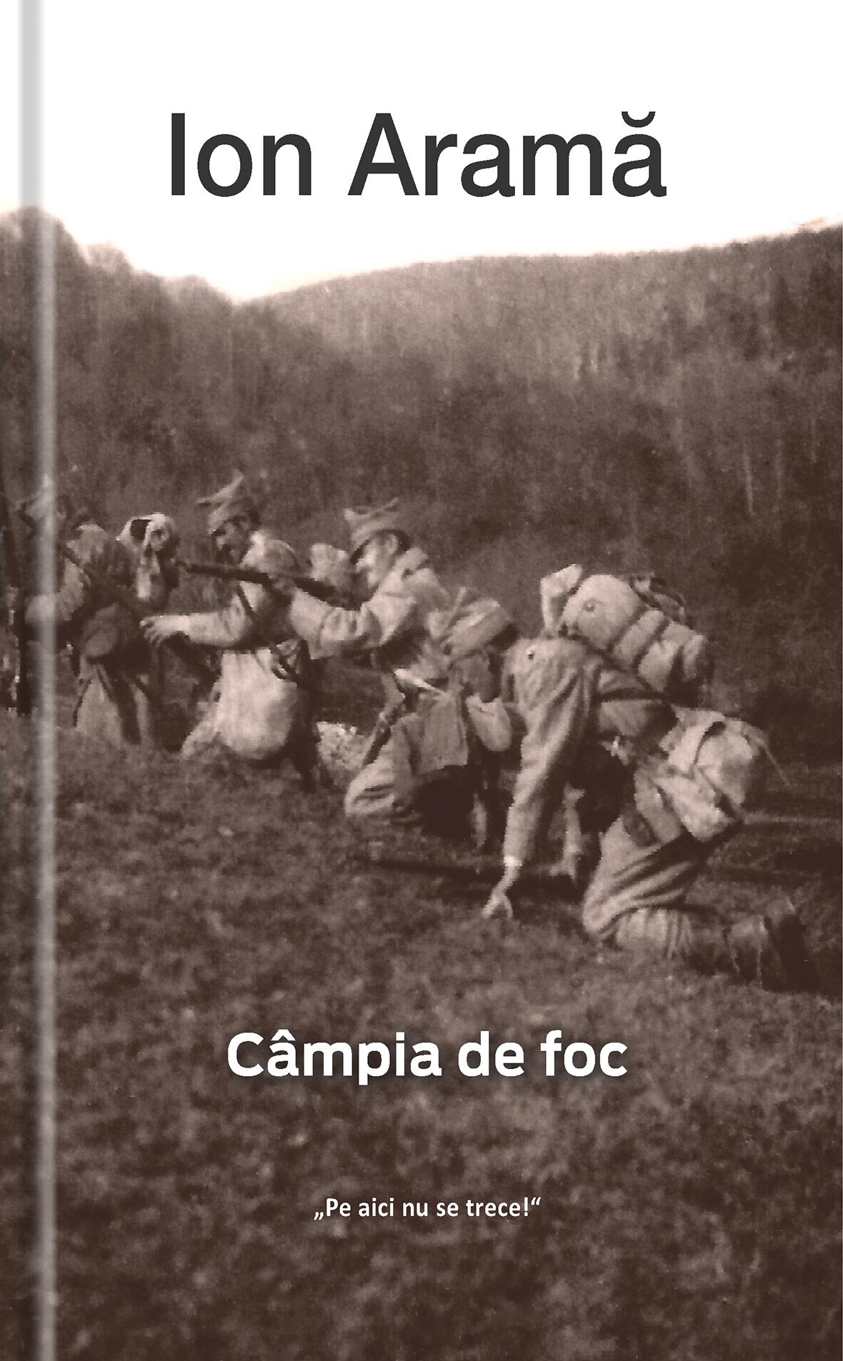 Carte Campia de foc autor Ion Arama editura Univers