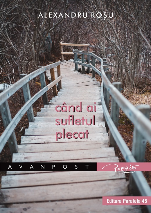 Carte Cand ai sufletul plecat autor Alexandru Rosu editura Paralela 45