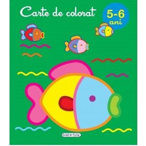 Carte Carte de colorat 5-6 ani
