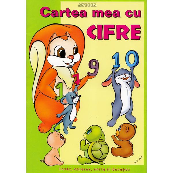 Carte Cartea mea cu cifre - Invat