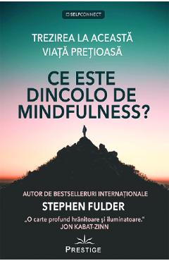 Carte Ce este dincolo de Mindfulness? - Stephen Fulder editura Stephen Fulder