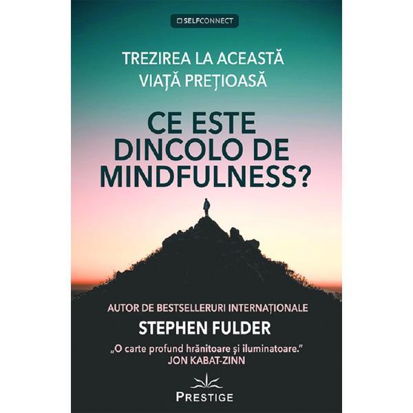 Carte Ce este dincolo de Mindfulness? - Stephen Fulder