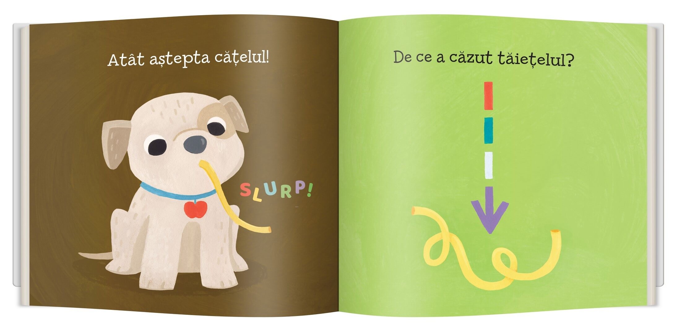 Carte Ce este gravitatia autor Ruth Spiro editura Gama