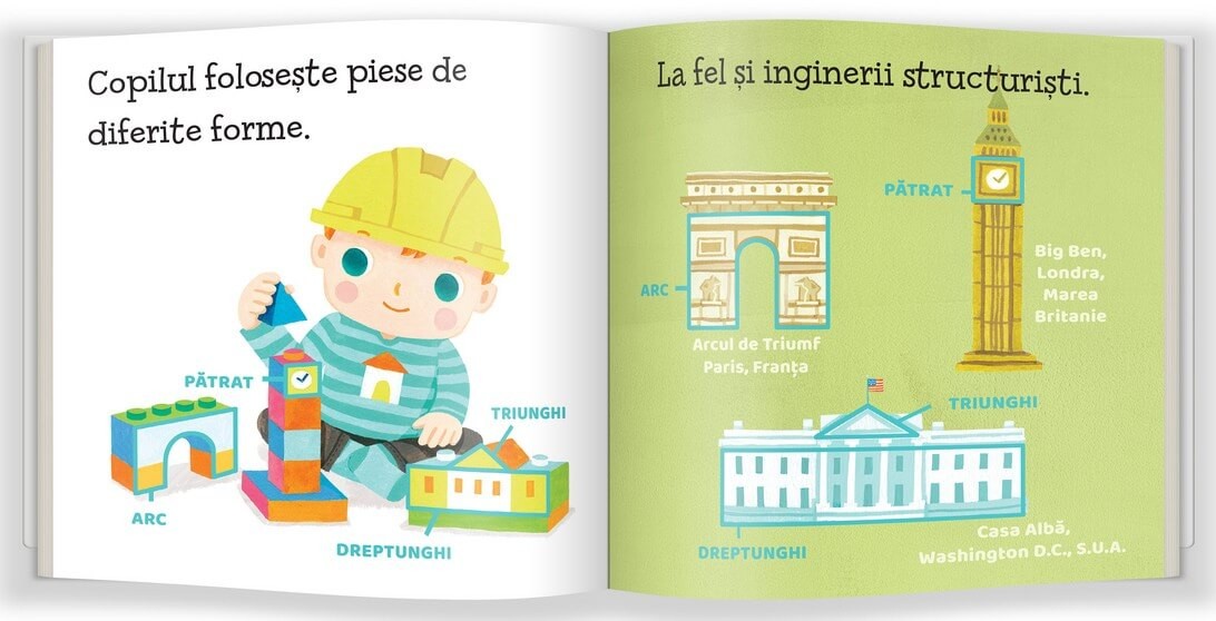 Carte Ce este ingineria structurala autor Ruth Spiro editura Gama